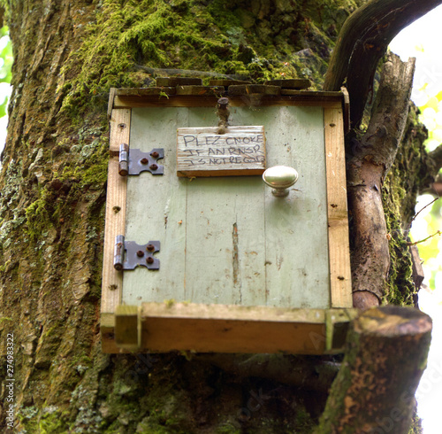 Fotografie Owl's house Winnie the pooh Hartfield
