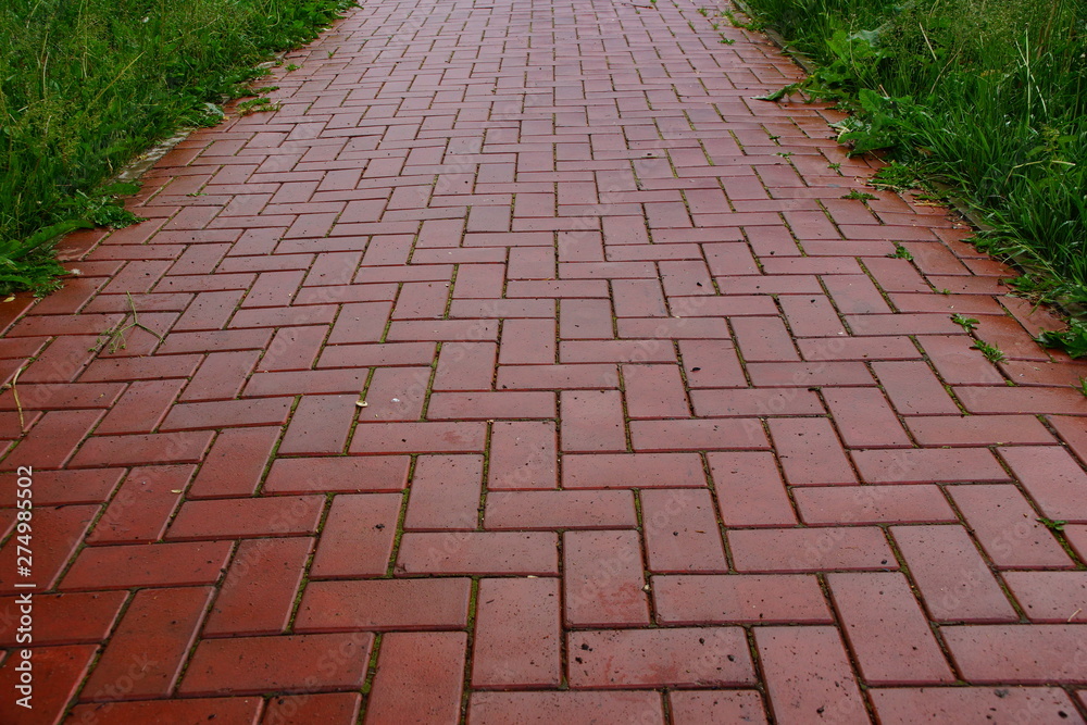 red paving slabs after rain surface abstract