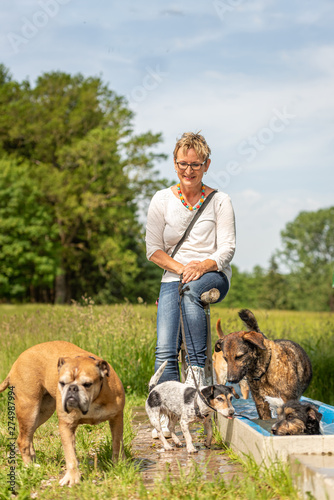 Dog sitter is rasting with many dogs by the water. Dog walker with different dog breeds in the beautiful nature photo