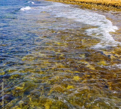 Yellow stone beach Ayia Napa with blue clear sea and green plants in the loukkos tou Mandi beach area