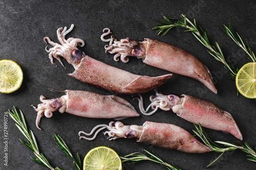 Fresh raw whole squids with spices, rosemary and lime on dark stone background. Seafood, creative layout made of fish, top view