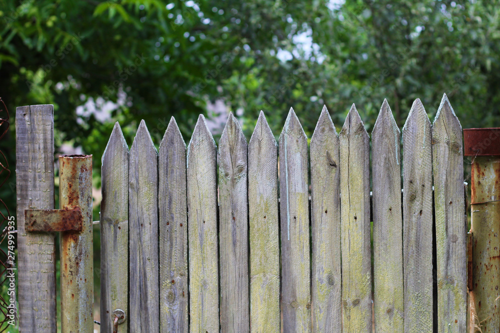 Old wooden picket gate with peeled paint