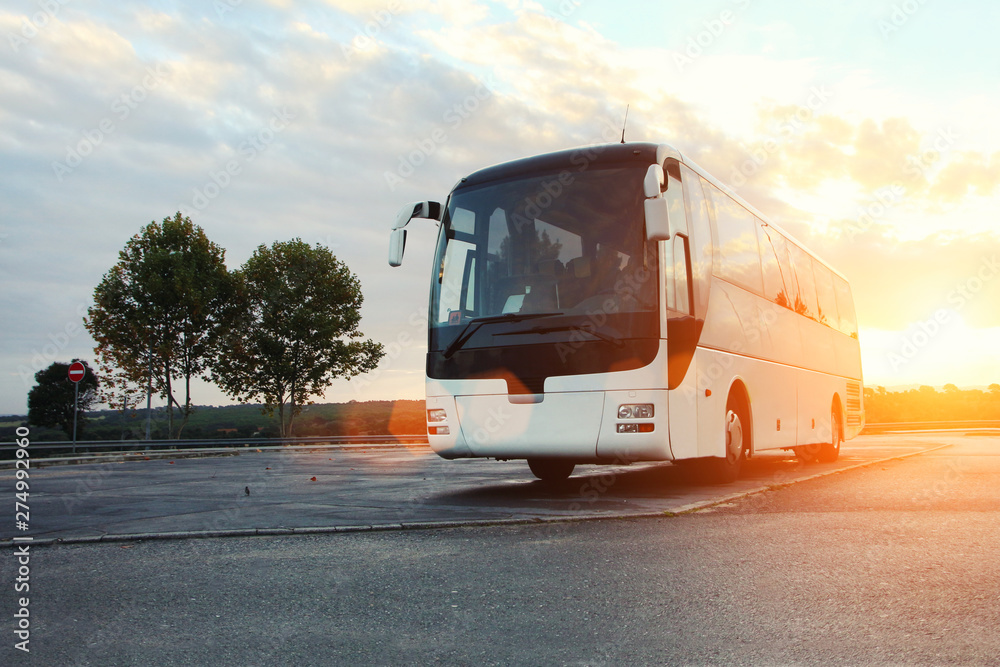 Bus parked on the road