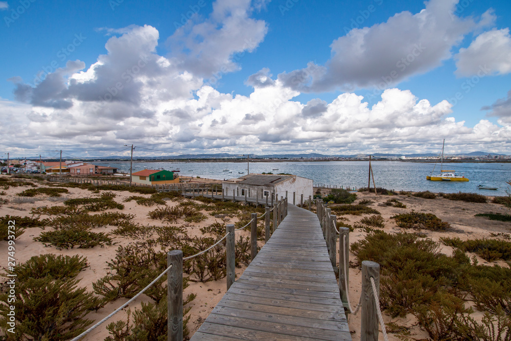 sand dunes shoreline