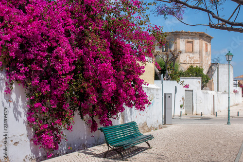 street bench with bougainvillea