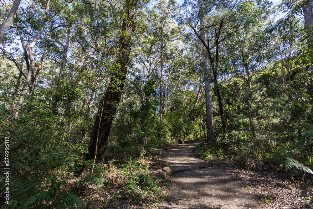 Glass House Mountains – Mount Beerburrum Summit Walk Glass House Mountains – Mount Beerburrum Summit Walk