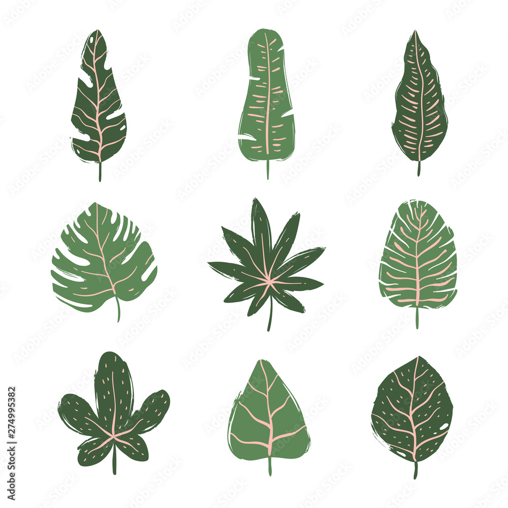 Obraz premium Set of tropical leaves. Hand drawn vector elements