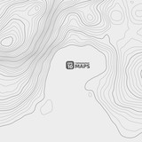 The stylized height of the topographic contour in lines and contours. The concept of a conditional geography scheme and the terrain path. Black on a light background.Vector illustration.