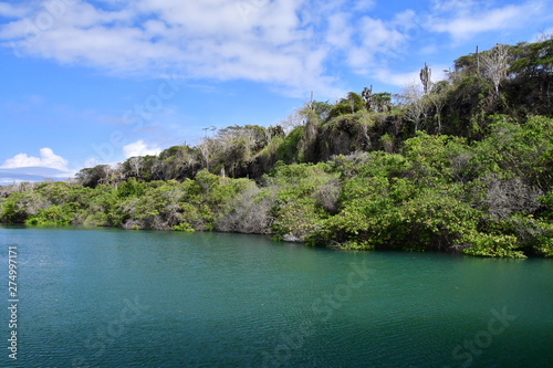 MANGLAR, GALÁPAGOS