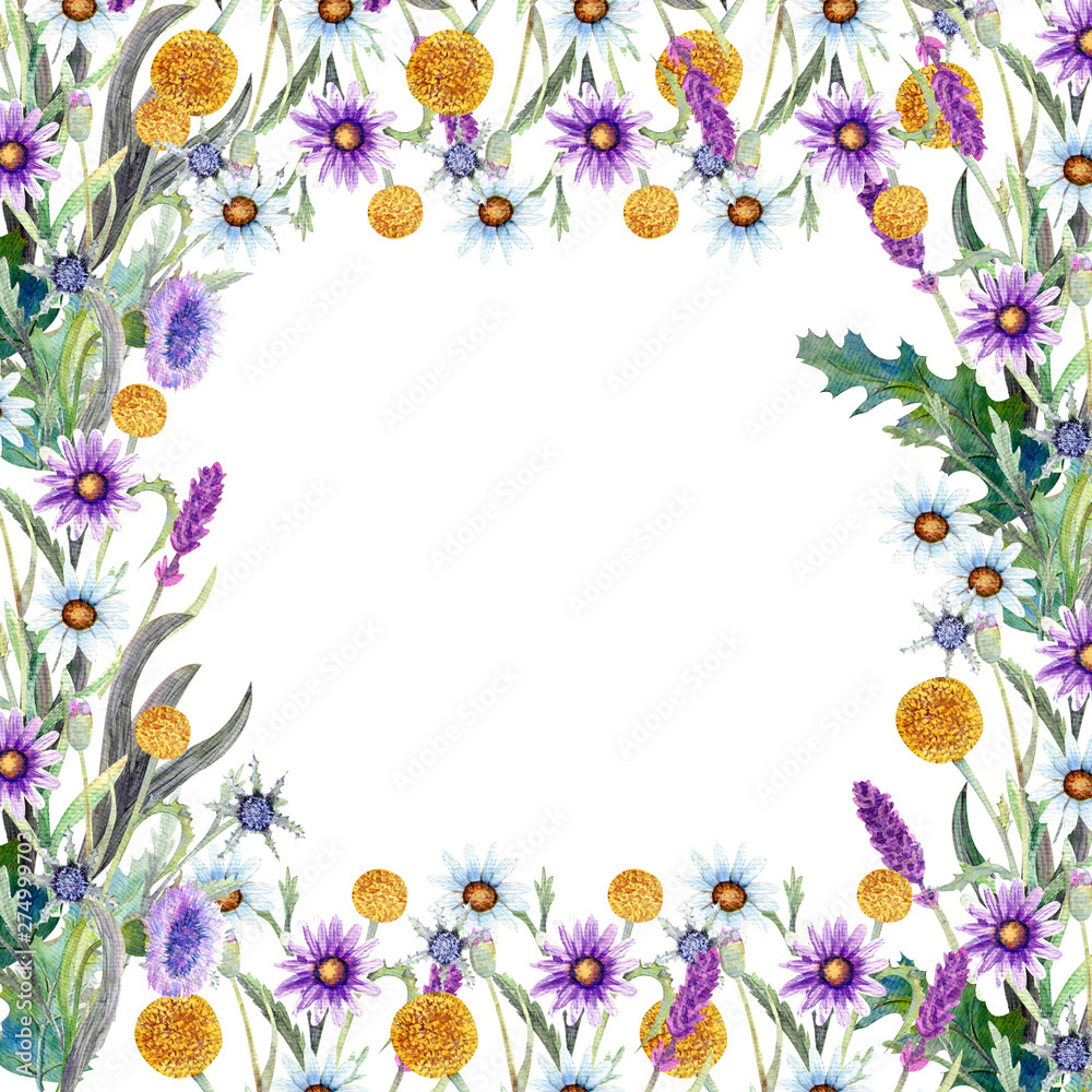 Romantic frame. Wildflowers in watercolor. Wedding concept with flowers. Floral poster, invitation. Watercolor arrangements for greeting card or invitation design. Romantic frame. Wildflowers in watercolor. Wedding concept with flowers. Floral poster, invitation. Watercolor arrangements for greeting card or invitation design.