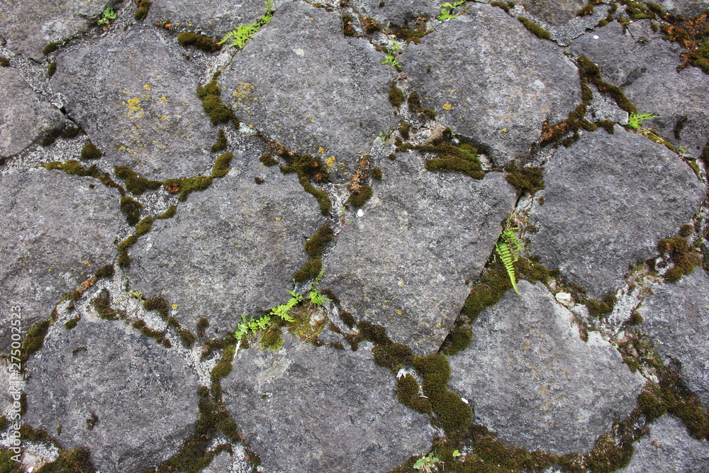 Obraz premium やや年数の経った石垣(岐阜県)