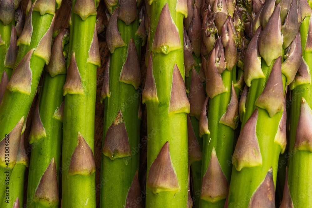Texture of close-up asparagus. For posting cooking headlines. gastronomy diets and vegetarians Texture of close-up asparagus. For posting cooking headlines. gastronomy diets and vegetarians