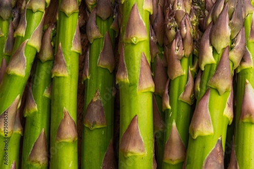 Texture of close-up asparagus. For posting cooking headlines. gastronomy diets and vegetarians