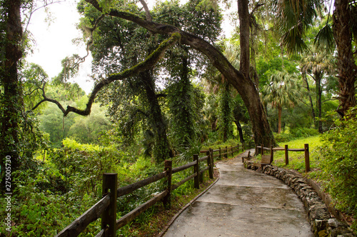 Winding footpath at Rainbow Springs, FL