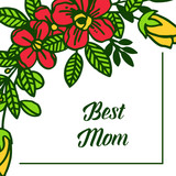 Vector illustration card best mom with various pattern colorful flower frame