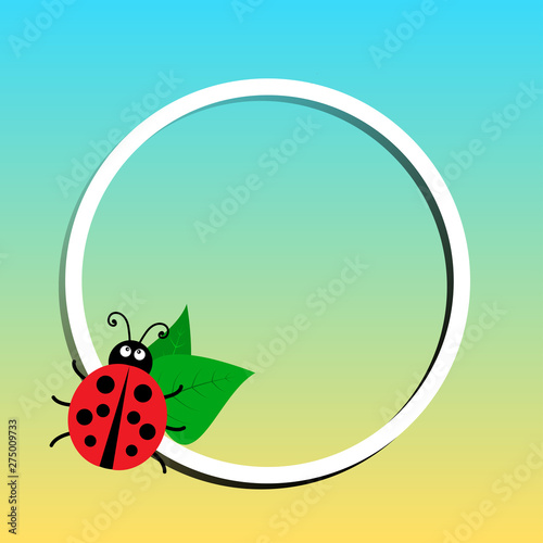Summer banner  round white frame with ladybug and leaves on colored background  space for your text. Vector illustration