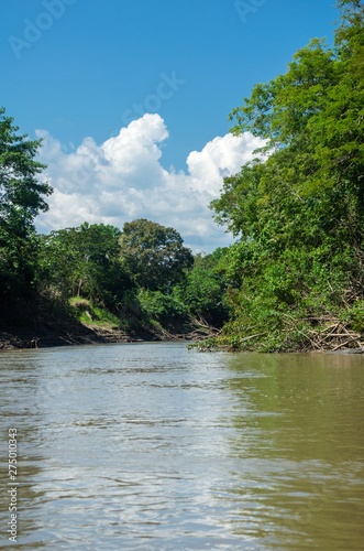 river jungle nature sky clouds green trees