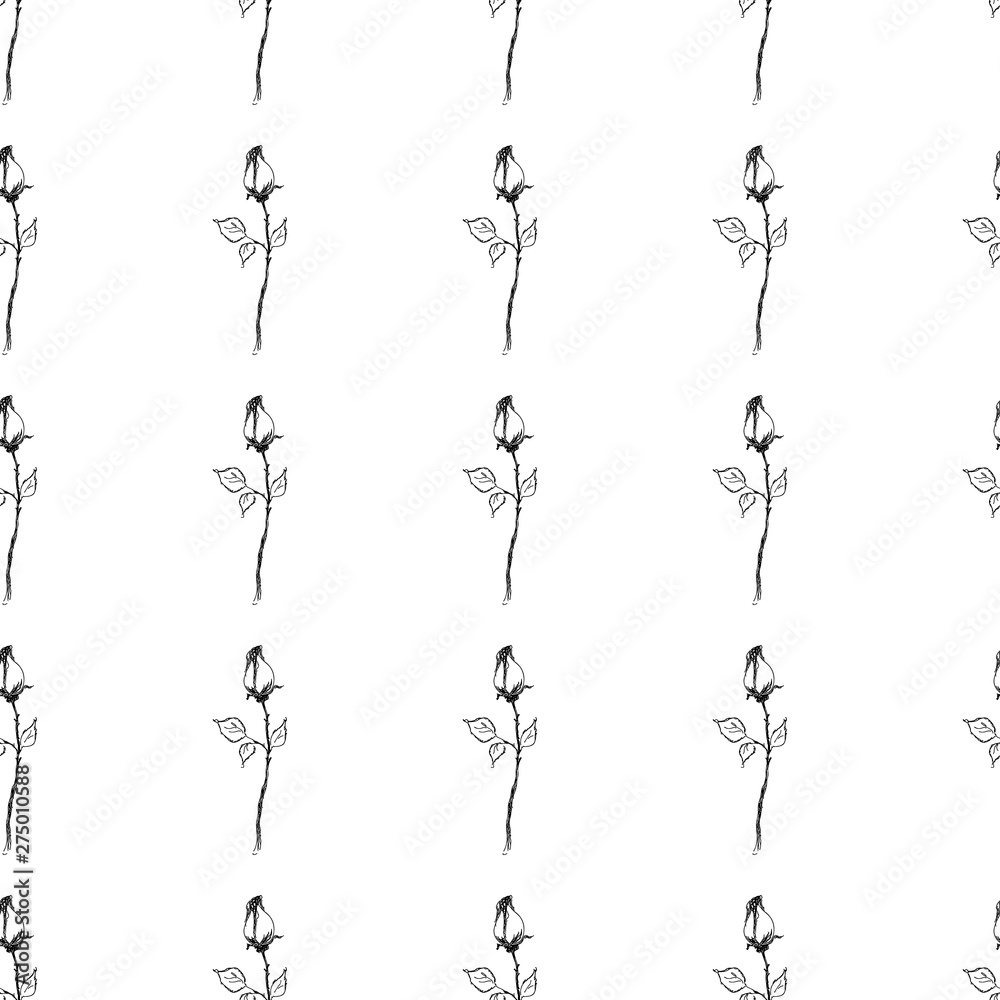Seamless freehand pattern of abstract rose flowers isolated on white background. Vector floral illustration. Cute doodle modern isolated pop art elements. Outline.