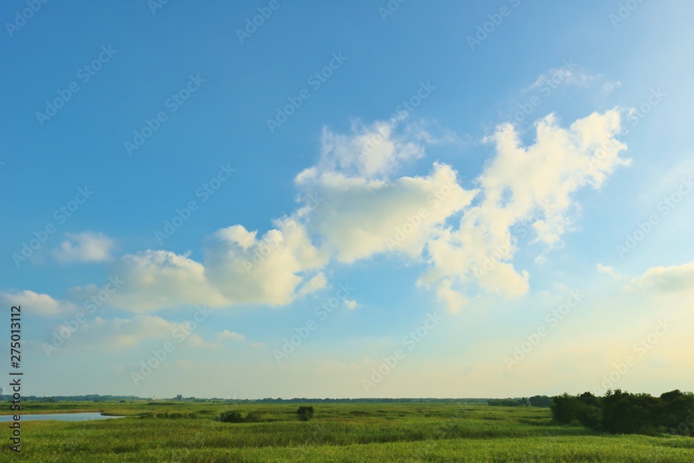 風景　晩夏　渡良瀬　空　沼　杤木