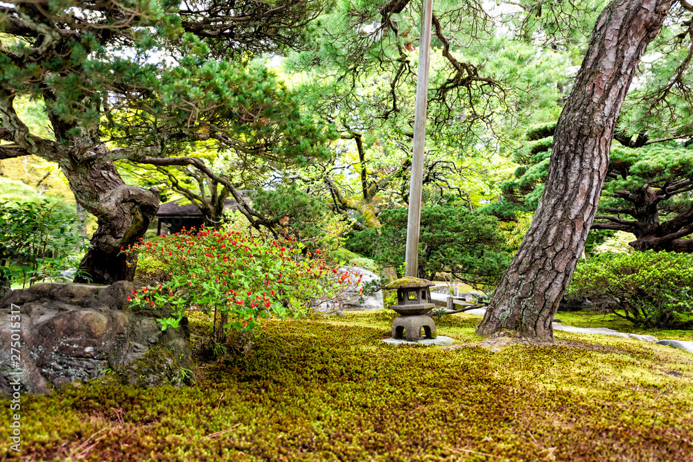 Kyoto, Japan green moss spring garden in Imperial Palace architecture with stone lantern and flowers pruned trees Kyoto, Japan green moss spring garden in Imperial Palace architecture with stone lantern and flowers pruned trees