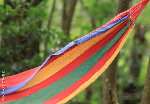 Relaxing in hammock with in forest