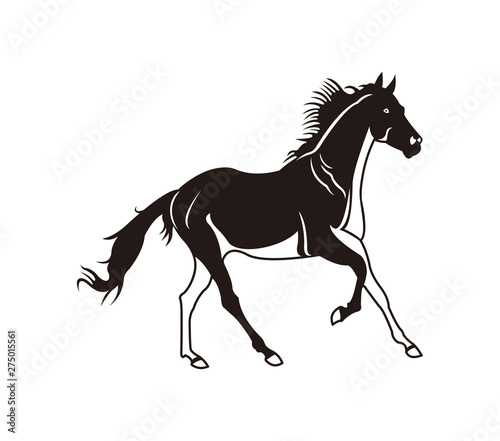 Horse vector in black and white. Cool horse illustration.
