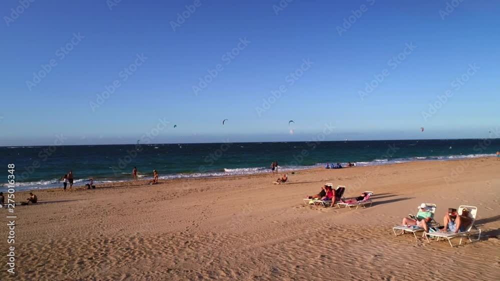 Droning through Palm trees in Ocean Beaches while Kite Boarders are enjoying the sunset Droning through Palm trees in Ocean Beaches while Kite Boarders are enjoying the sunset