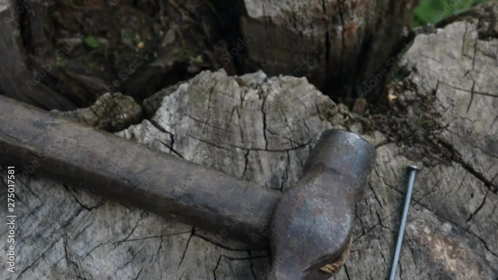 Hammer with nail. Crafts, production and hobby concept Hammer with nail. Crafts, production and hobby concept