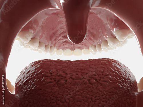 Canvas Print 3d rendered illustration of the mouth from inside