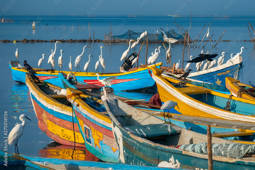 Fishing Boats, Jaffna, Sri Lanka