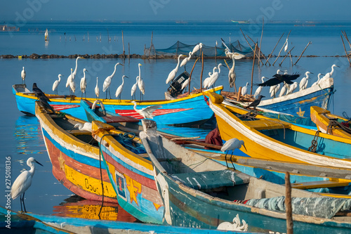 Fishing Boats, Jaffna, Sri Lanka photo