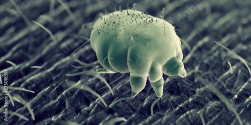 Papier peint 3d rendered illustration of a scabies mite on human skin, sem style