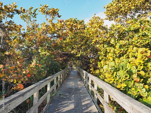 Boardwalk at Bill Baggs Cape Florida State Park in Key Biscayne  Florida.