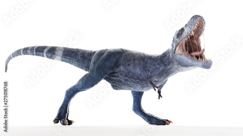3d rendered illustration of a t-rex isolated on white