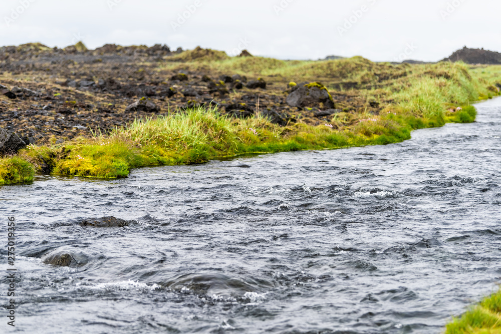 Iceland valley river stream on southern coast with summer plants landscape in Dyralaekjasker Iceland valley river stream on southern coast with summer plants landscape in Dyralaekjasker