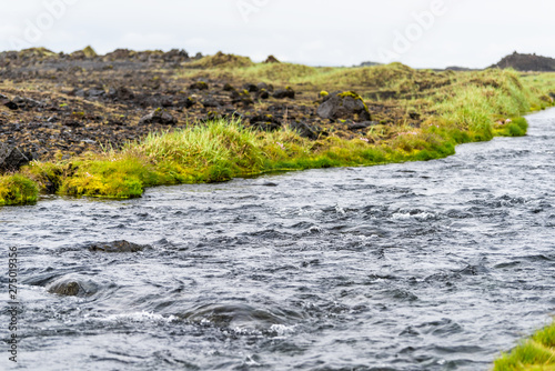Iceland valley river stream on southern coast with summer plants landscape in Dyralaekjasker