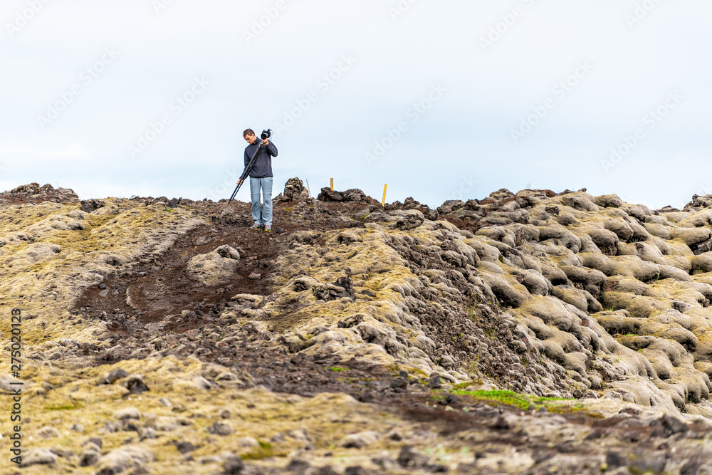 Lava Field in Iceland with yellow green moss covered rocks or stones in southern ring road and photographer man with tripod walking on trail path