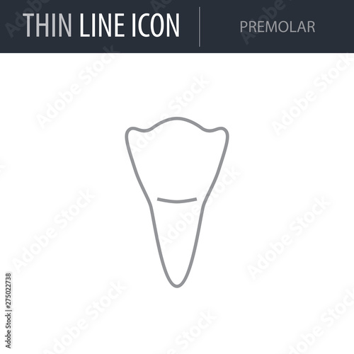 Symbol of Premolar. Thin line Icon of Dentist Tools. Stroke Pictogram Graphic for Web Design. Quality Outline Vector Symbol Concept. Premium Mono Linear Beautiful Plain Laconic Logo