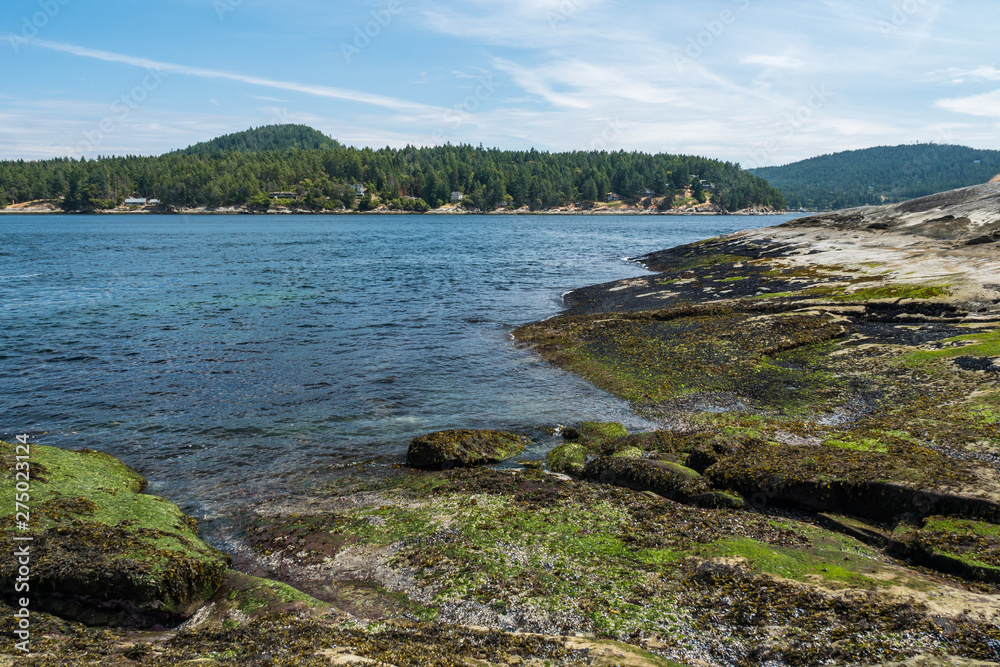 rocky shore line covered with green algae and seaweed on a sunny day with forest covered island on the far side of horizon under cloudy blue sky rocky shore line covered with green algae and seaweed on a sunny day with forest covered island on the far side of horizon under cloudy blue sky