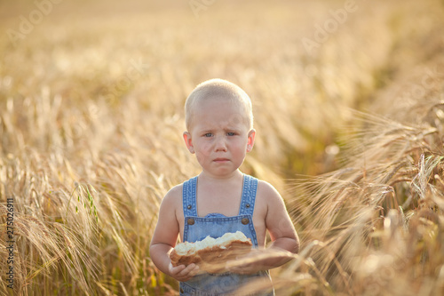 boy crying in a wheat field