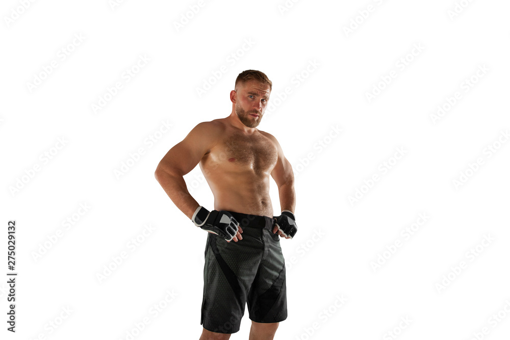 MMA fighters isolated on white MMA fighters isolated on white