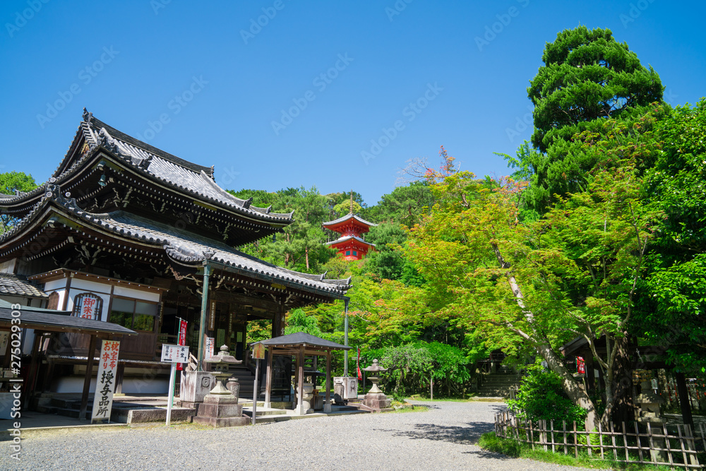京都　今熊野観音寺（いまくまのかんのんじ）の本堂と多宝塔　新緑