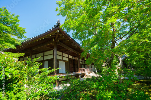 京都　常寂光寺の本堂　新緑　　