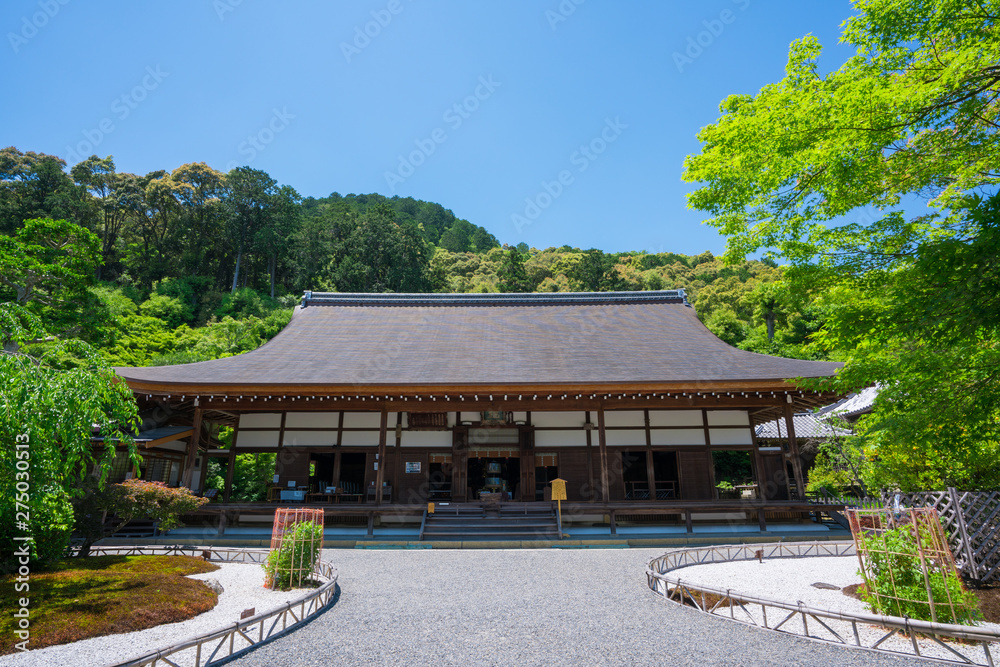 Fototapeta premium 京都 二尊院の本堂 新緑