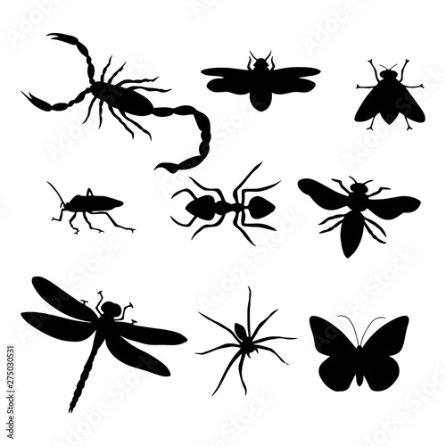 Set of insects collection. insects silhouette . Vector EPS 10. © CHAIYAPHON