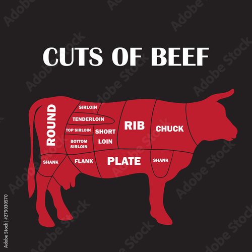 Cuts of cow meat. Beef handwriting lettering. Isolated on dark background.meat cut charts