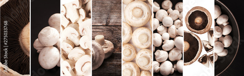 Macro photo of portobello mushroom, portabella or portobella
