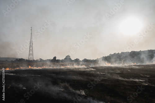 disaster burning field under smoke and ash from industry