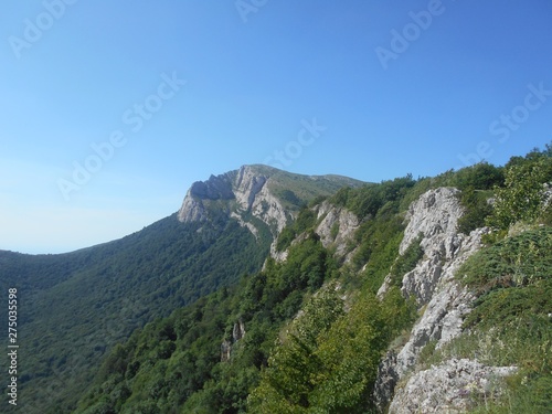view of mountains