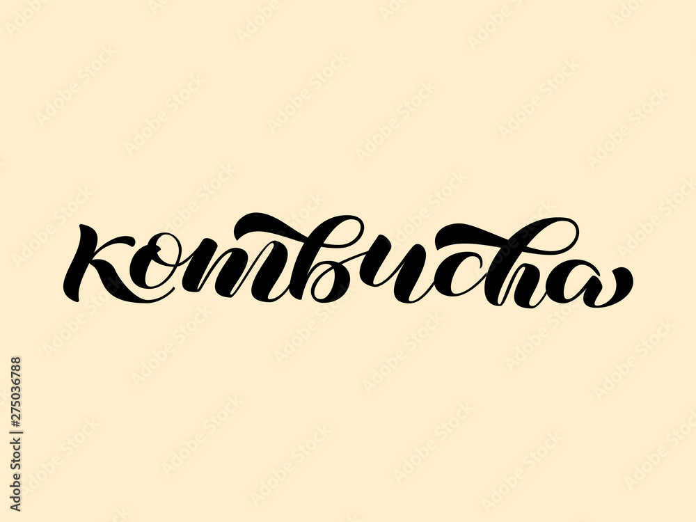 Kombucha brush brush lettering. Vector illustration for banner or packing